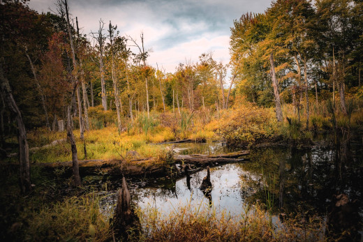 1753464 (a): :2048x1365